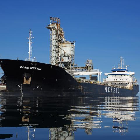 Image of the bulk carrier, Blair Cutter.